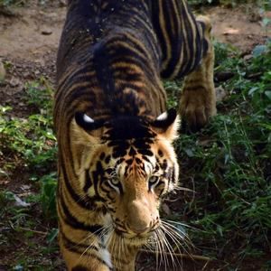 Meet your Posher, Brandie